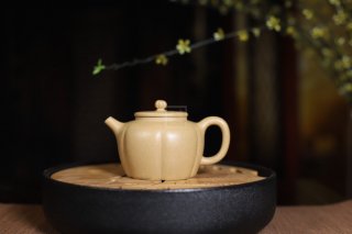 《菊蕾》宜興紫砂壺助理工藝美術(shù)師手工標(biāo)本級本山段泥泡茶壺菊蕾茶具